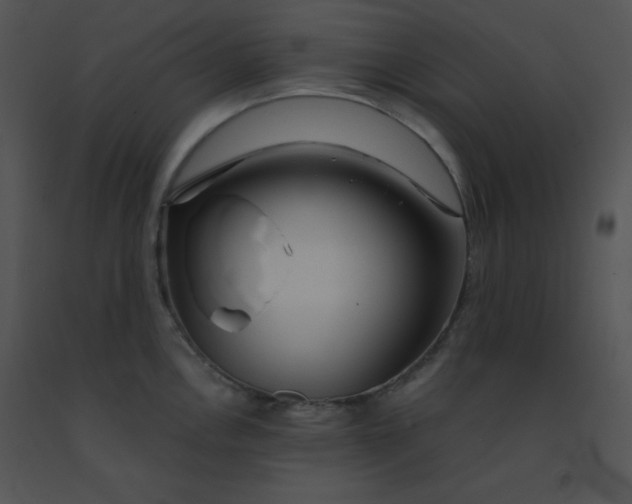X0000091361146200708311459