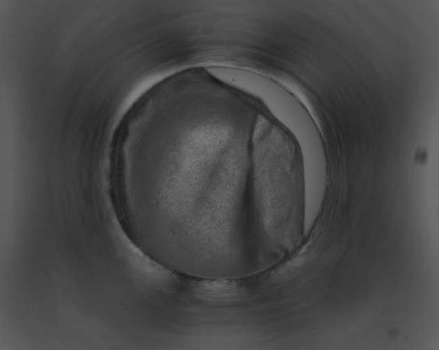 X0000091361147200708311459