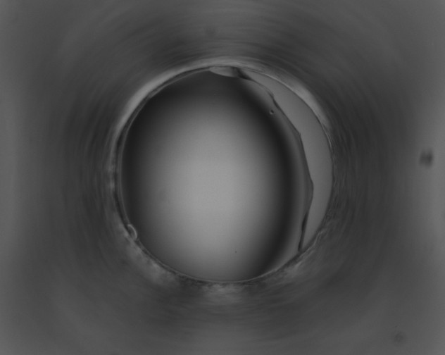 X0000091361148200708311459