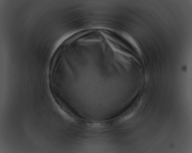 X0000091361149200708311459