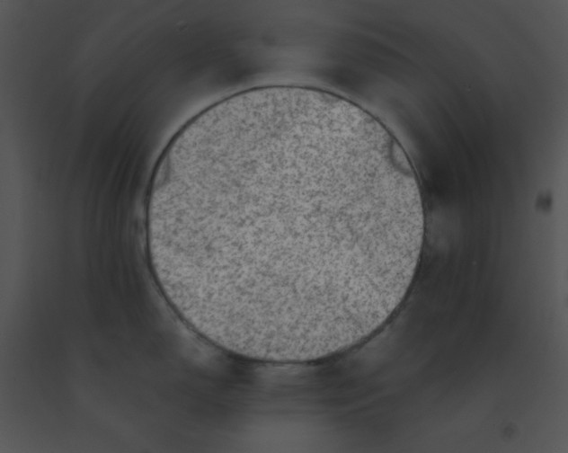 X0000091361150200708311459