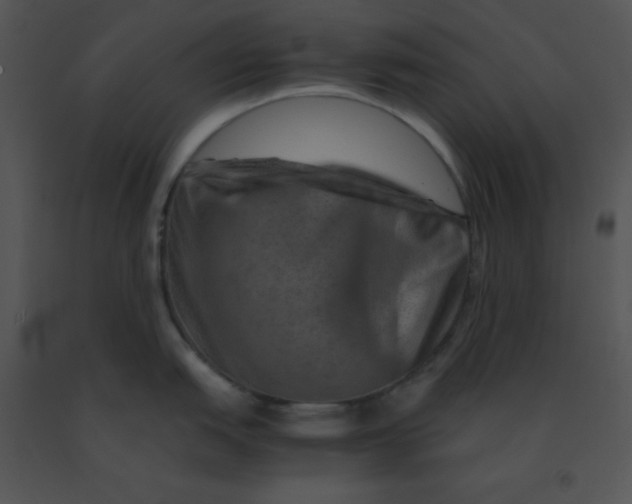 X0000091361151200708311459