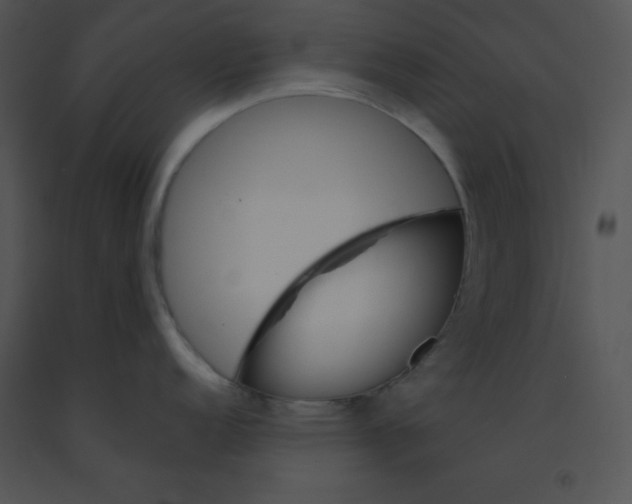X0000091361152200708311459