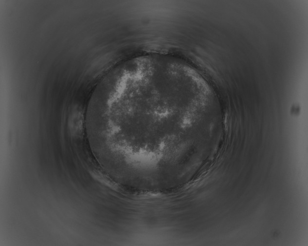 X0000091361154200708311459