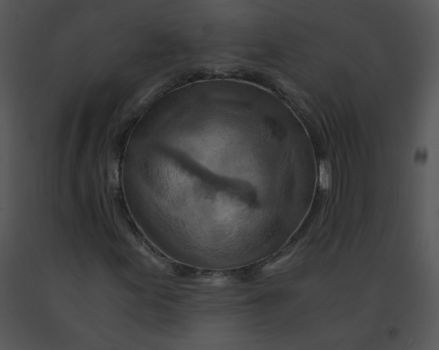 X0000091361155200708311459