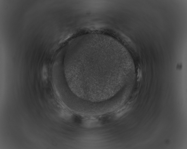 X0000091361156200708311459