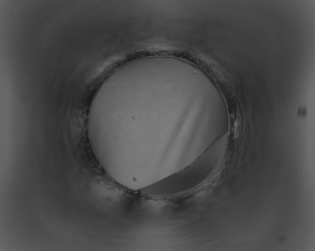 X0000091361157200708311459