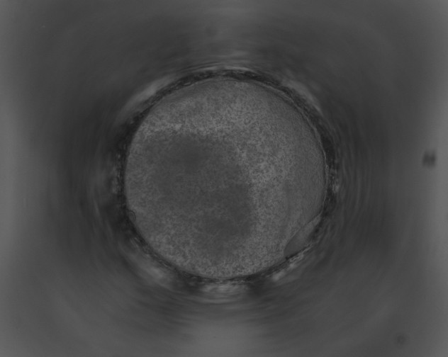 X0000091361159200708311458