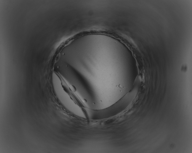 X0000091361160200708311458
