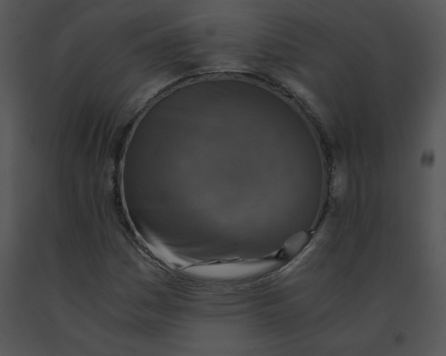 X0000091361161200708311458