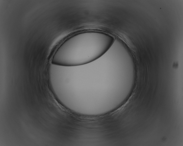 X0000091361164200708311458