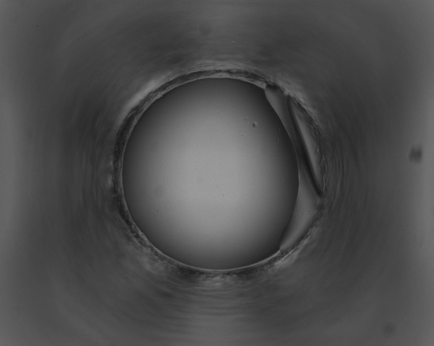 X0000091361165200708311458
