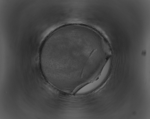 X0000091361167200708311458