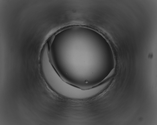 X0000091361168200708311458