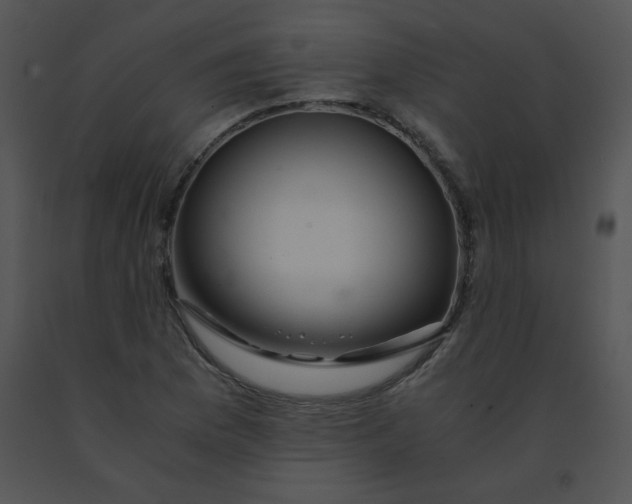 X0000091361169200708311458