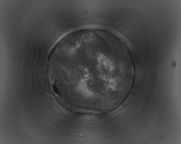 X0000091361170200708311458