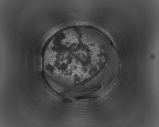 X0000091361171200708311458