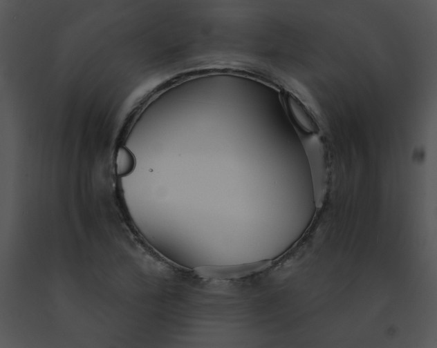 X0000091361172200708311458
