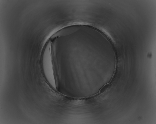 X0000091361173200708311458