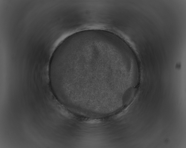 X0000091361174200708311458