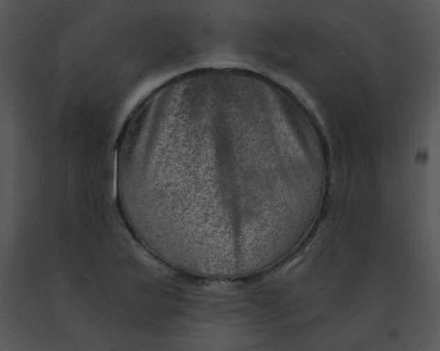 X0000091361175200708311458