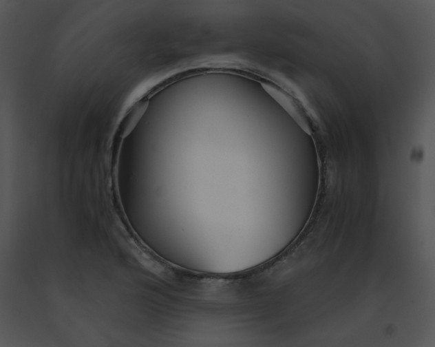 X0000091361176200708311458