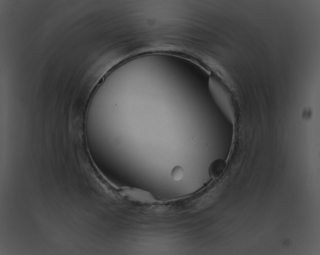 X0000091361177200708311458