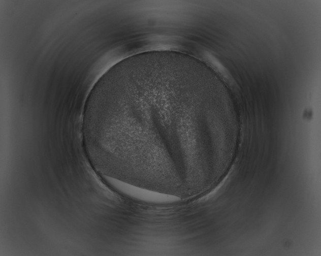 X0000091361178200708311458