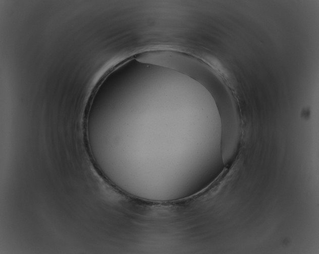 X0000091361181200708311458