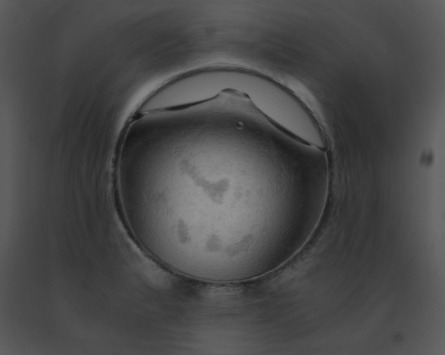 X0000091361183200708311458