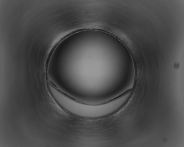 X0000091361184200708311458