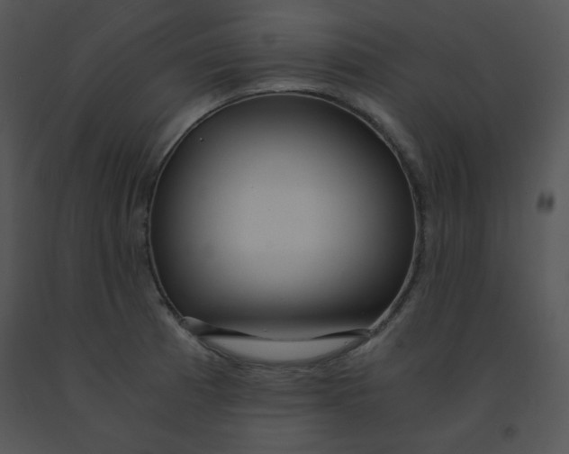 X0000091361185200708311458