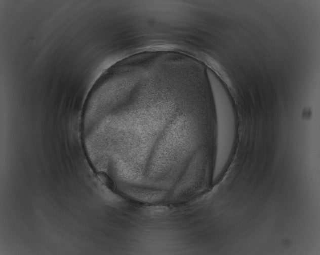 X0000091361186200708311458