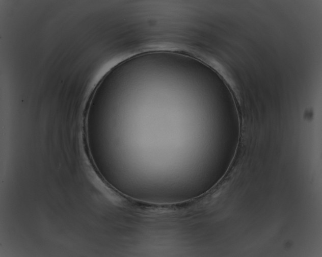 X0000091361187200708311458