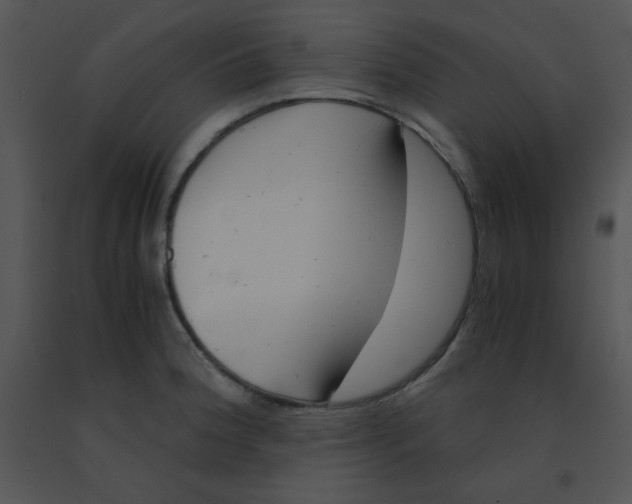 X0000091361188200708311458