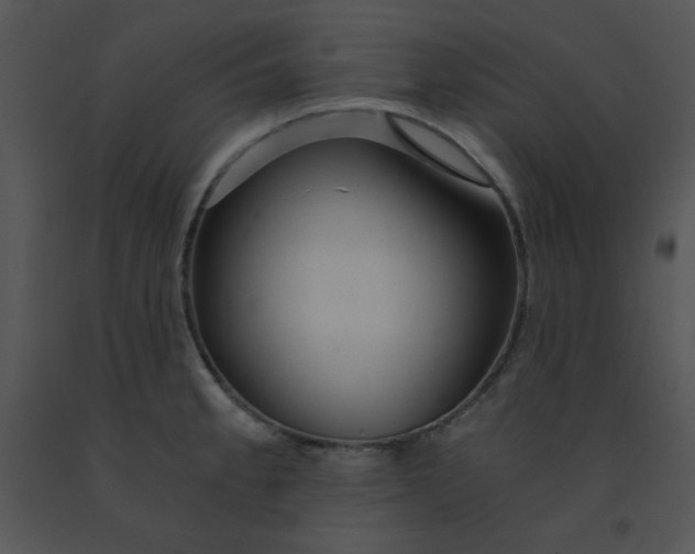 X0000091361189200708311458