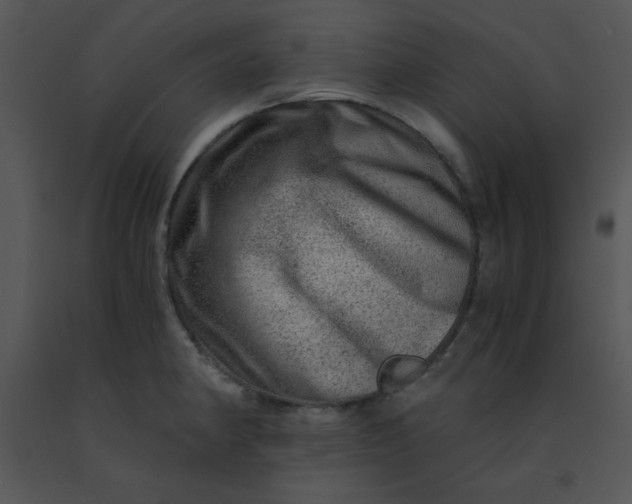 X0000091361190200708311458