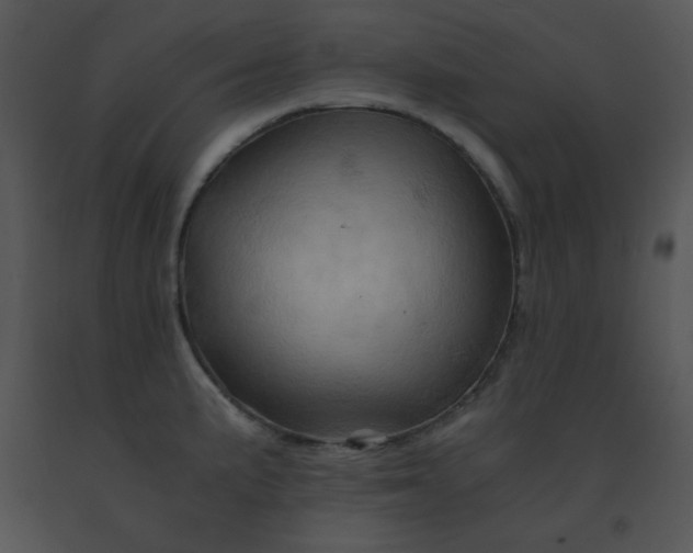 X0000091361191200708311458