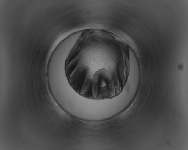 X0000091361192200708311458