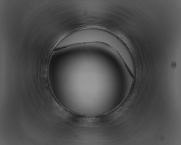 X0000091361193200708311458