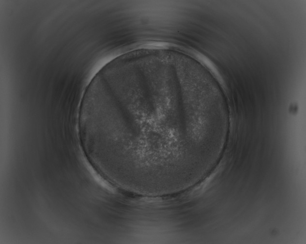 X0000091361194200708311458