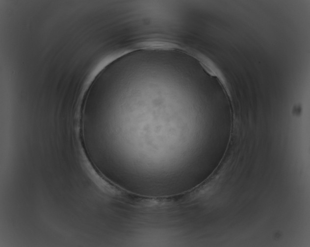 X0000091361195200708311458