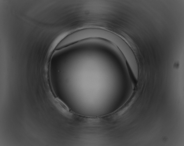 X0000091361196200708311458