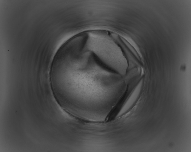 X0000091361197200708311458