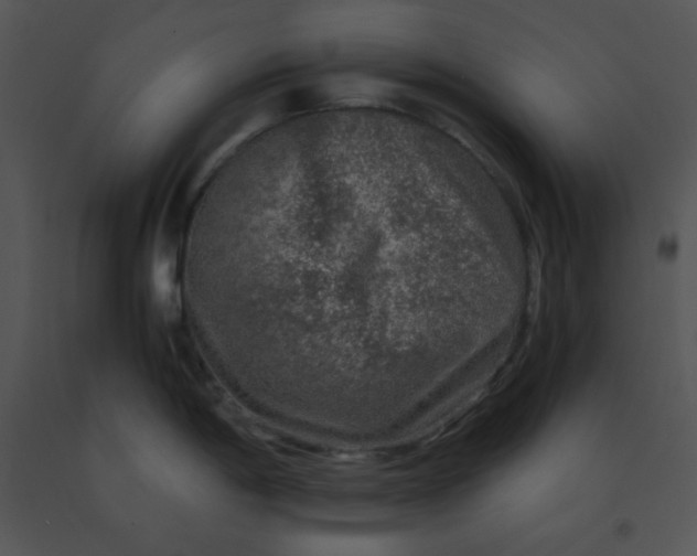 X0000091361198200708311458