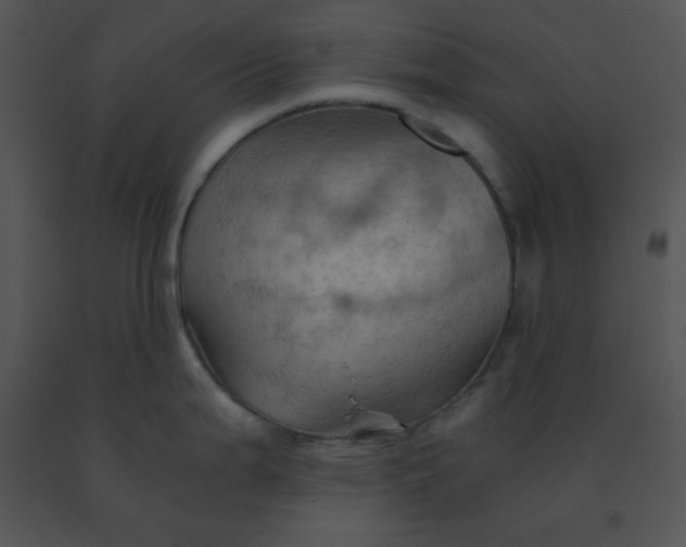 X0000091361199200708311458
