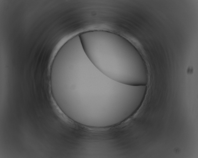 X0000091361200200708311458