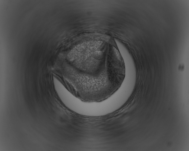 X0000091361202200708311457