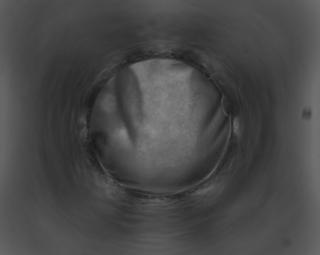 X0000091361203200708311457