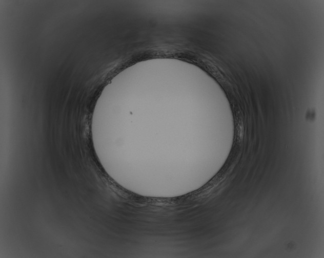X0000091361204200708311457